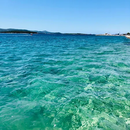 Dalomar * Biograd Na Moru