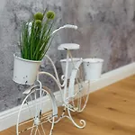 Apartmán Dalomar *