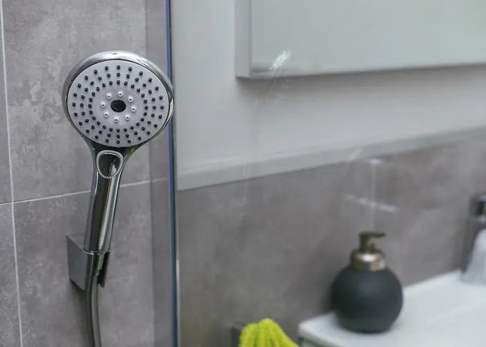 Dalomar * ביוגראד נה מורו