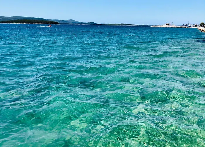 Dalomar * ביוגראד נה מורו