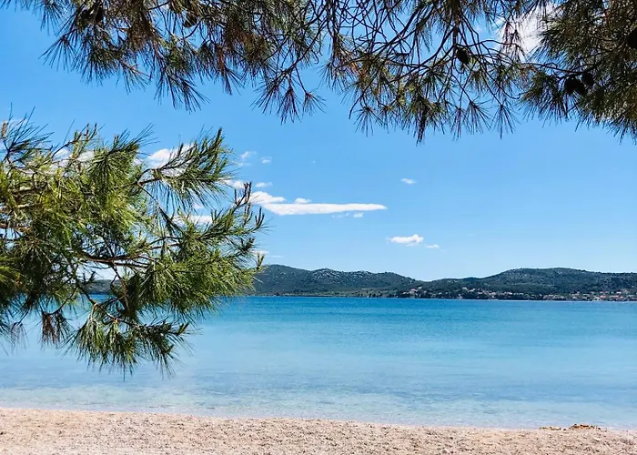 Dalomar ביוגראד נה מורו